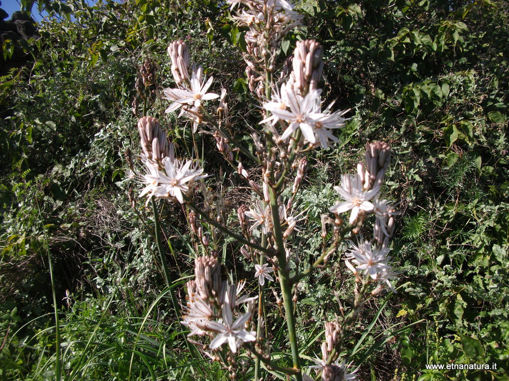 rco Gioeni-08-02-2013 11-09-40